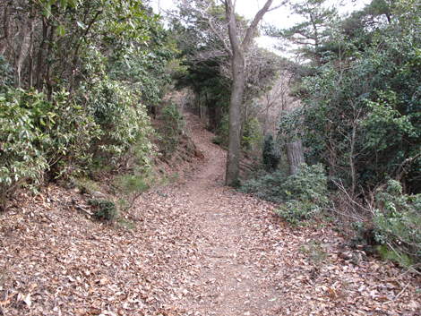 20140102hike (189)